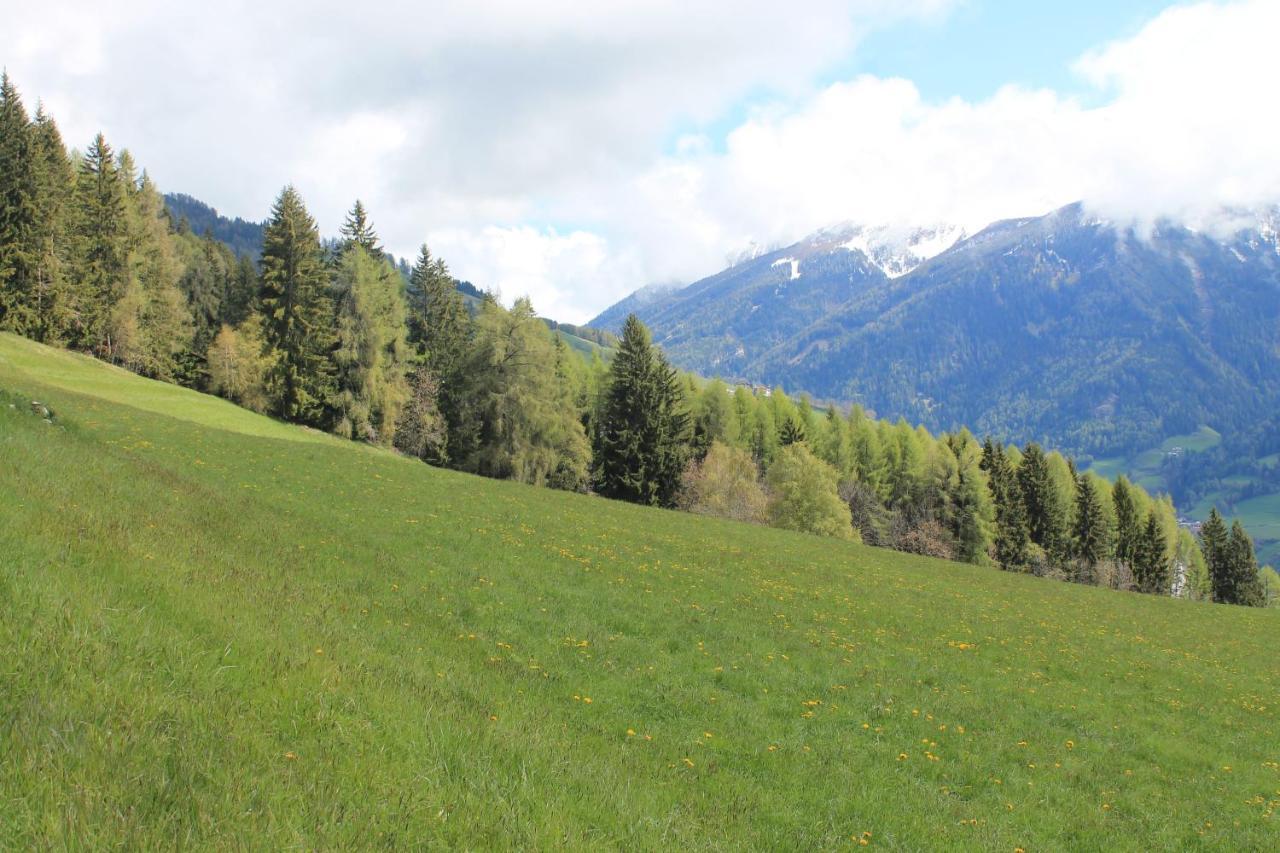 La Mansarda Di Casa Vacanze La Vite Bordogna Extérieur photo