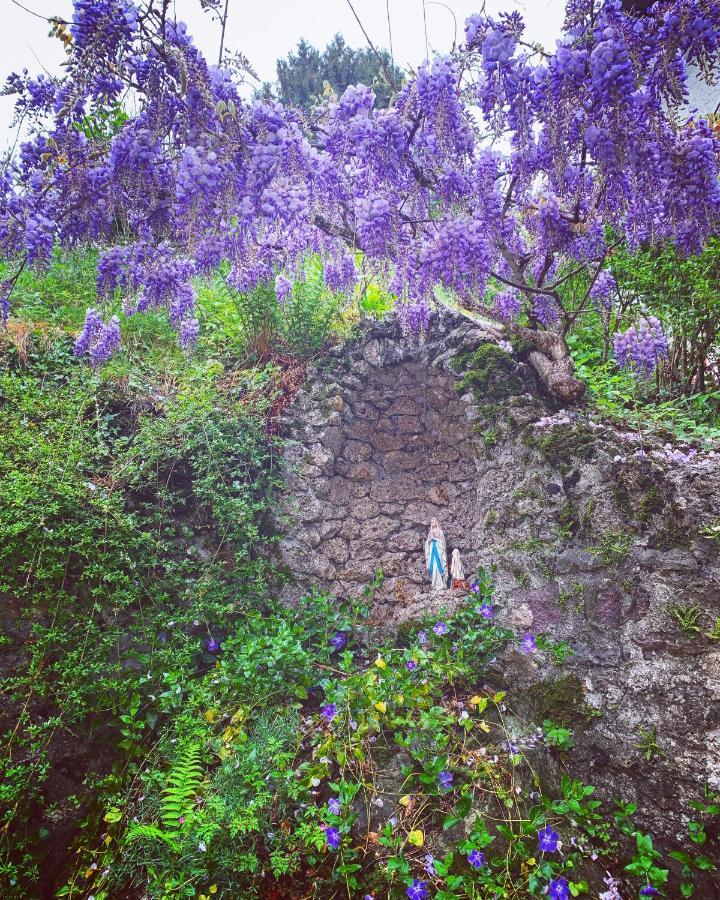 La Mansarda Di Casa Vacanze La Vite Bordogna Extérieur photo